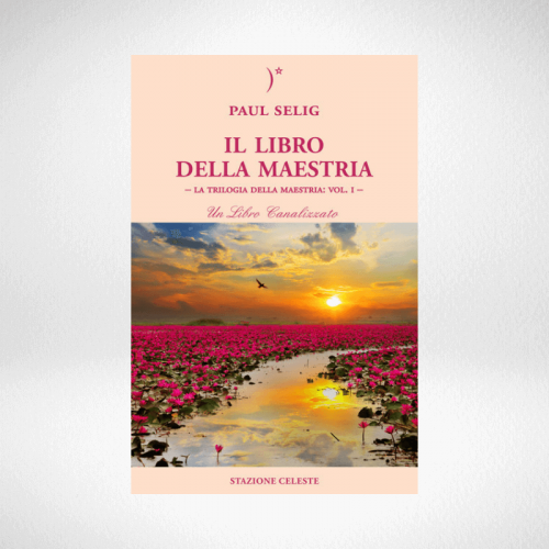 libro-maestria